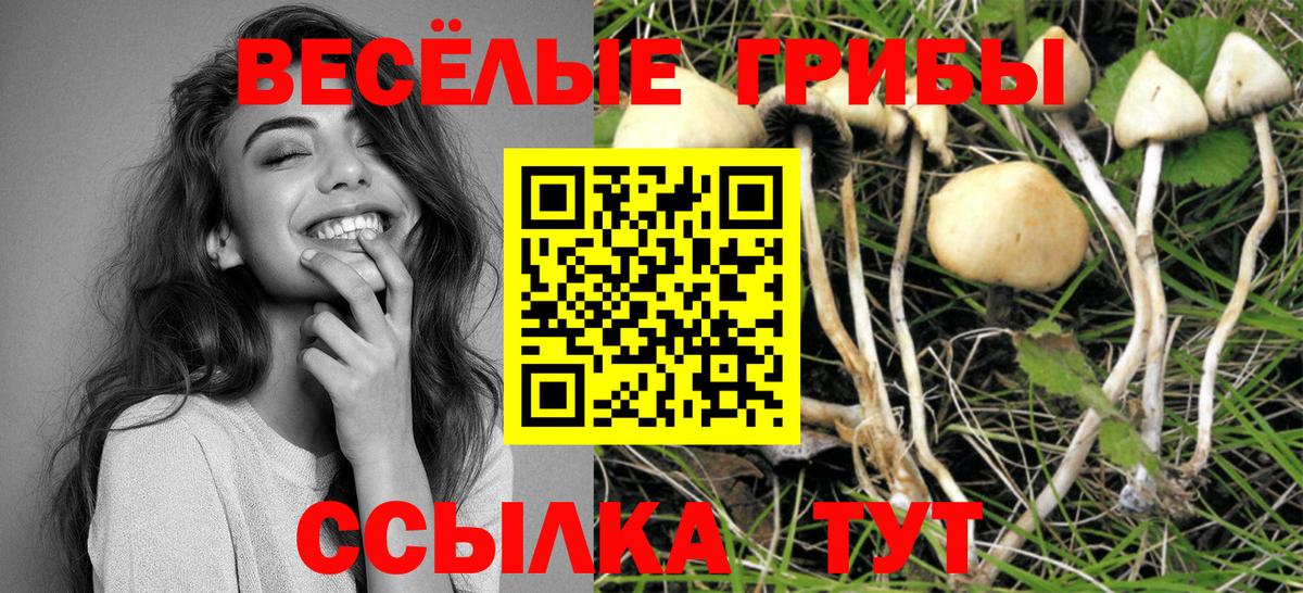 Псилоцибиновые грибы мухоморы  Вход с VPN  Пушкино 