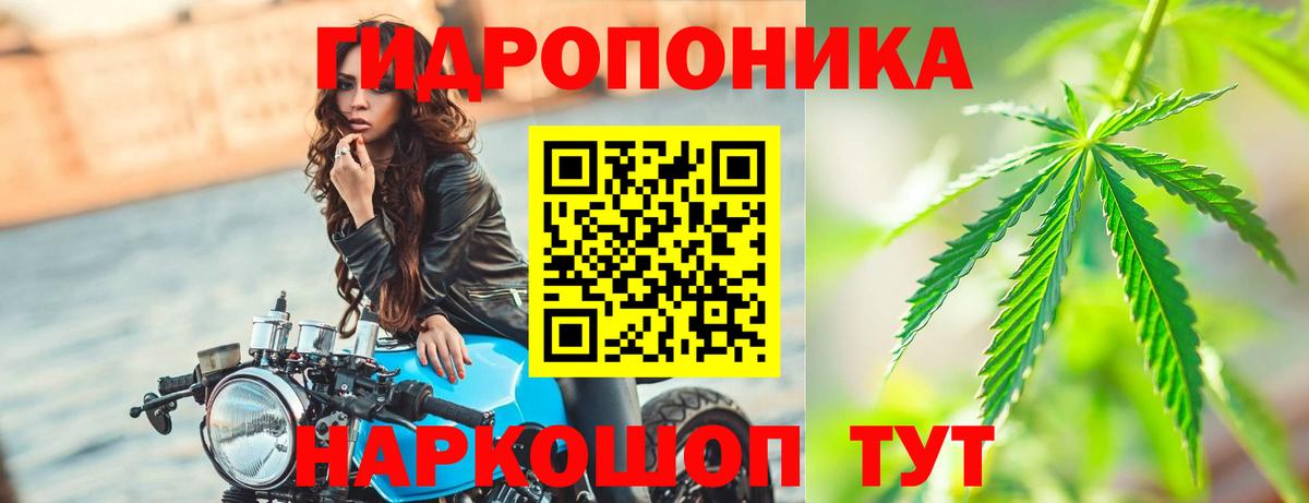 Марихуана марихуана Пушкино